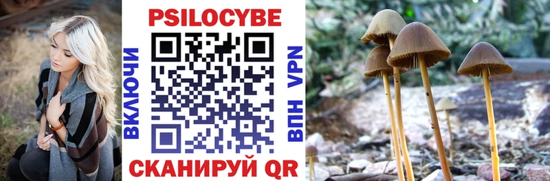 Галлюциногенные грибы Cubensis Печоры